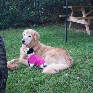 Meet your Posher, Kathy